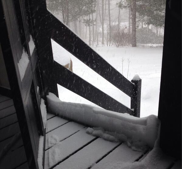 DIYJenn's tweet image. Snow Day in Central Massachusetts @weatherchannel