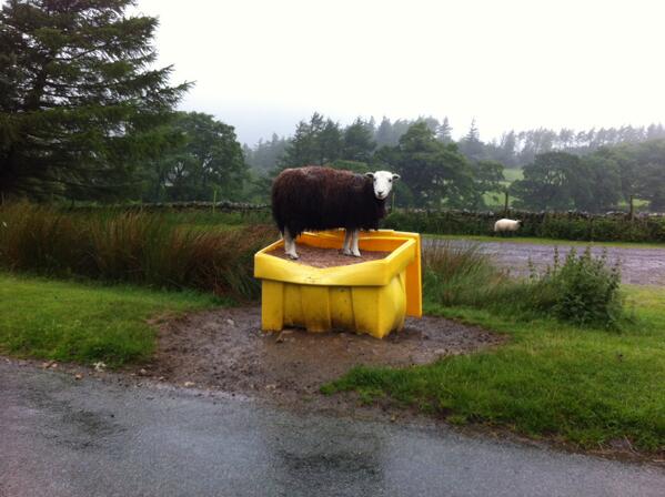 So Cumbrian! Please retweet if it made you smile a little bit :)