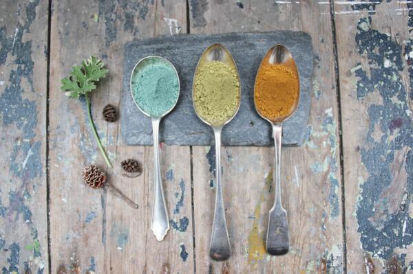 NaturePaint tweet media