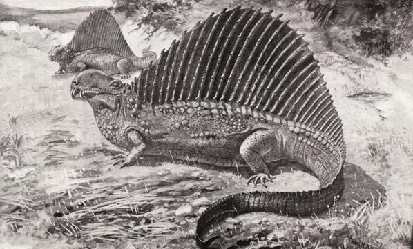 An fossilized reptile-mammal hybrid's teeth reveal Earth's ancient landscape: bit.ly/1aYvmzz