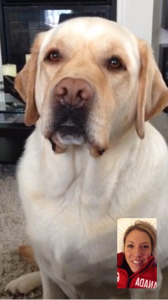 Embedded image permalink