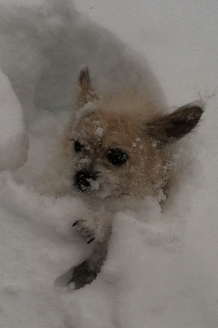 DufferboyJim's tweet photo. @patsnowstick http://t.co/FR1uE5a058