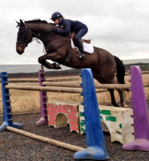 Douwe S - for sale. For more info please visit our website. youtu.be/737dw1FpZI0