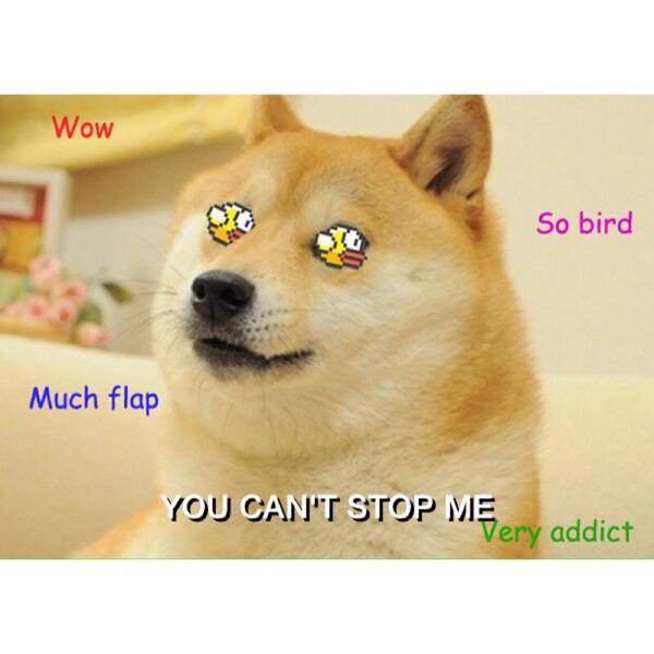 Embedded image permalink