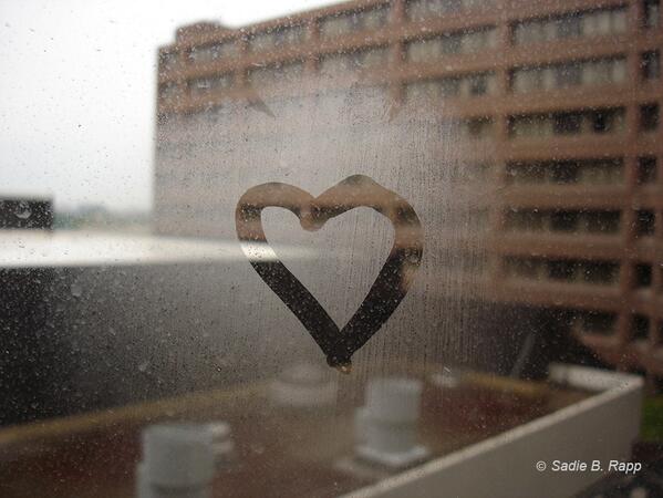 ArtofPhotoShow's tweet photo. "Raining Love" by Sadie Rapp @ArtofPhotoShow '09 #‎tbt See more of Sadie's work at: http://t.co/Fz4ft1ZHPm http://t.co/noOI5ebRm3