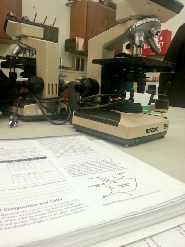 YanaTheAlien's tweet image. #LabFlow