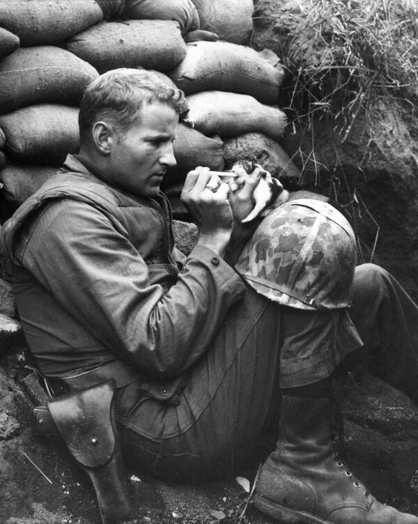 Soldier takes the time to feed a #kitten in the middle of the battle.