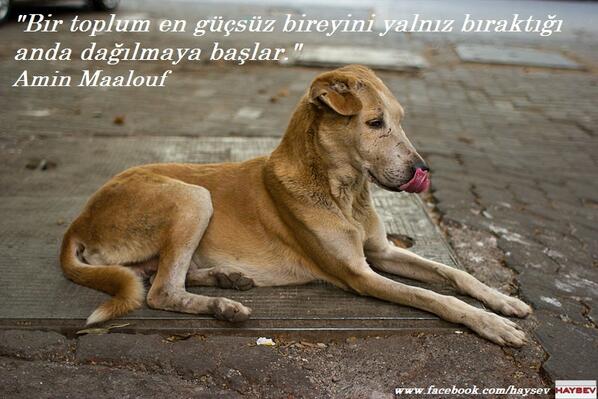 haysevder's tweet photo. Sizler güçsüzün yanında,destekçisi olun,olur mu? Çünkü hayatta en şerefli olunması gereken görev insanlıktır. #haysev http://t.co/bSUqPSuDhm