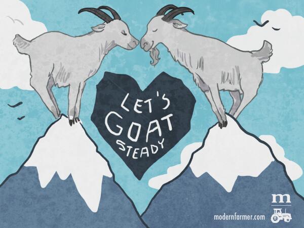 ModFarm's tweet image. Want to say “hay” (sorry) to that someone special? Try our @ModFarm Valentine’s Day cards: modernfarmer.com/2014/02/modern…