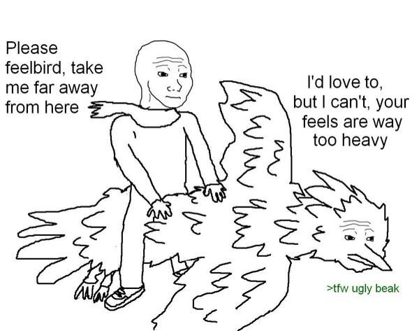 PackerAW's tweet photo. Tomorrow will be a difficult day for the feelbird http://t.co/jSboenofgo