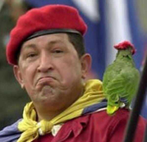 DichosdeChavez's tweet photo. “La oposición volverá a gobernar cuando Tarzán y la mona Chita aparezcan en la Plaza Caracas” http://t.co/c3ZdwmMEXG