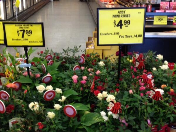 #pottedroses are a great #ValentinesDay gift - buy for yourself or someone else - starting at $4.99