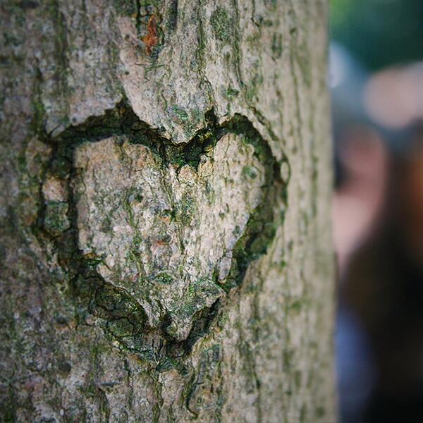 MonashUni's tweet photo. On this day of love we thought we could celebrate with a #studentpic [photo credit Amanda Summons] #ValentinesDay http://t.co/Uig6mkiyhD