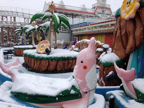 アラバスターイルカちゃん♡ドルフィン♡No.2063 色: ブルー】【キラキラドルフィン】 イルカ ぬいぐるみ 置物