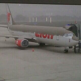 elsha andrea. (@el_shasha) on Twitter photo 