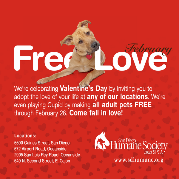 sdhumane's tweet photo. FREE Love February starts tomorrow! All adult pets are FREE until the end of Feb @ all our locations! http://t.co/9NlBofzI8D