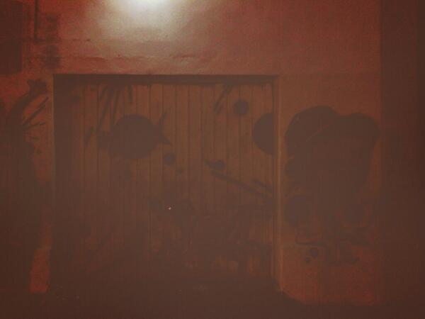 efember94's tweet image. Los redbules tenemos Local!