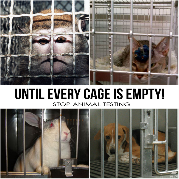 PETA on Twitter: PETA on Twitter: