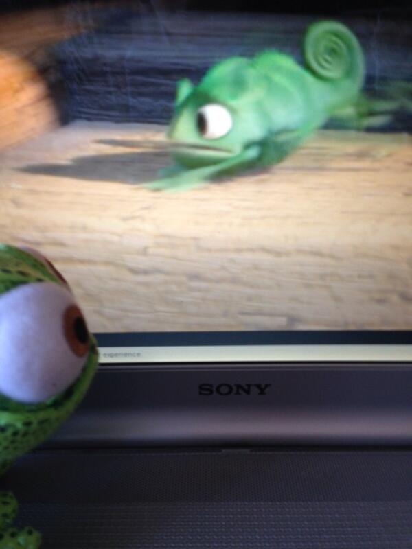 WheresPascal_'s tweet image. Pascal loves watching himself in his starring role 👌