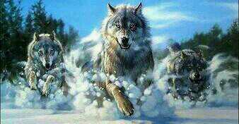 Şerefsiz Vatan hainleri
Sizi, ya tam susturacağız,
Ya da size, kan kusturacağız.