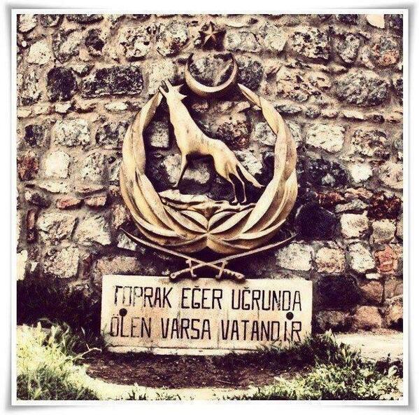 hasan şeker (@bozkurt_hasan06) on Twitter photo 