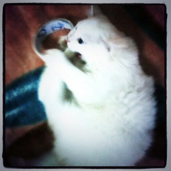 behar07071's tweet photo. http://t.co/Gtm5DvQ9K3