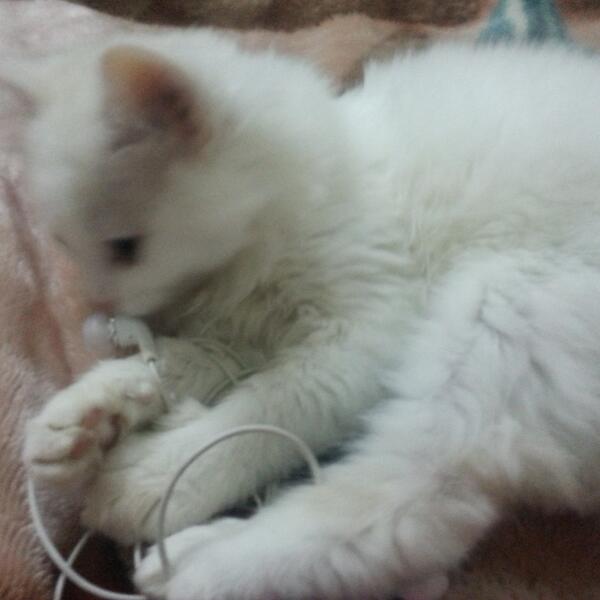 behar07071's tweet photo. http://t.co/Ok5HNAfcQt