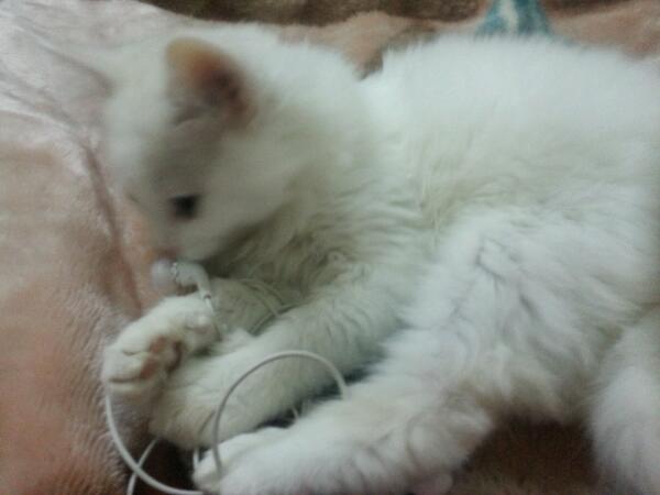 behar07071's tweet photo. http://t.co/tQDHG3XXIN