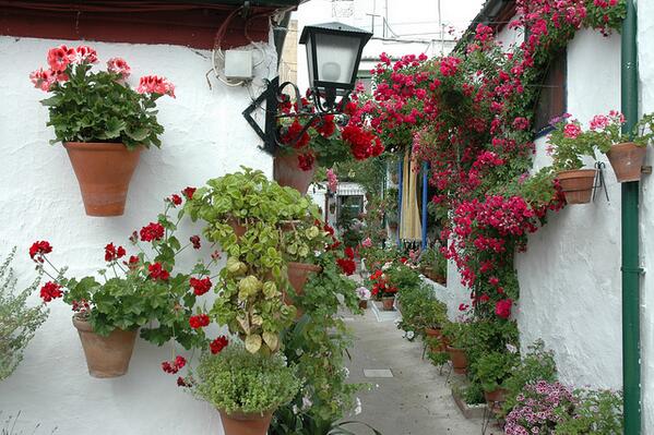 masquesiesta tweet picture