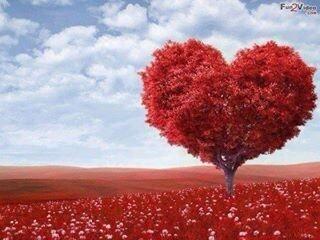 mioxynet's tweet photo. Me dijeron que para enamorarte había que hacer reír, pero cada vez que te ríes me enamoro yo. http://t.co/lHUBuHAlun
