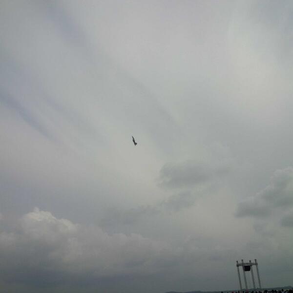 yoseazka's tweet image. F-16 catching the sun #SAS2014