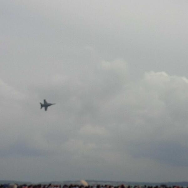 yoseazka's tweet image. Hornet in slow action #SAS2014