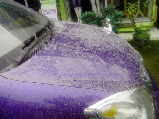 Kmposisi abu vulkanik Si02/silika, mirip bahan industri kaca,mrupakan glass hard yg sgt halus,sgt bahaya u/pernafasan