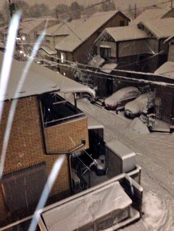 oxsakims's tweet photo. 雪、雪、雪☃
先週の雪溶けきってなぃのに(*´_ゝ｀)
雪だるま作りだぃ゛ http://t.co/QQpekjfQxZ