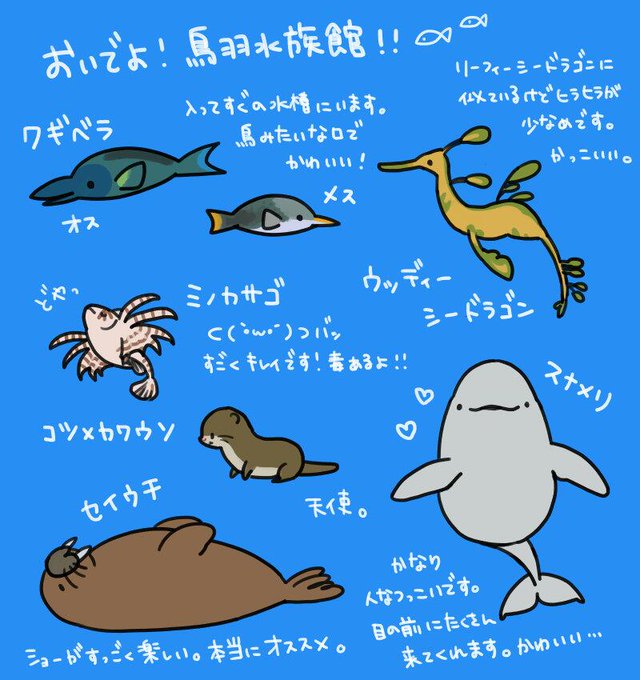 鳥羽水族館のtwitterイラスト検索結果 古い順