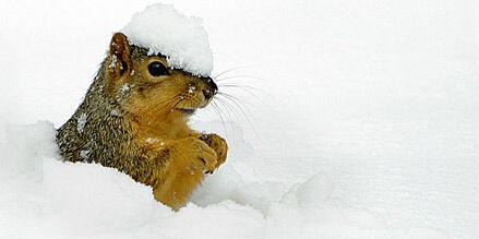 TelegraphPics tweet picture