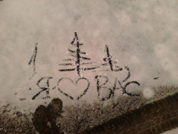 dashkakrasova's tweet image. #ЛеснойДом