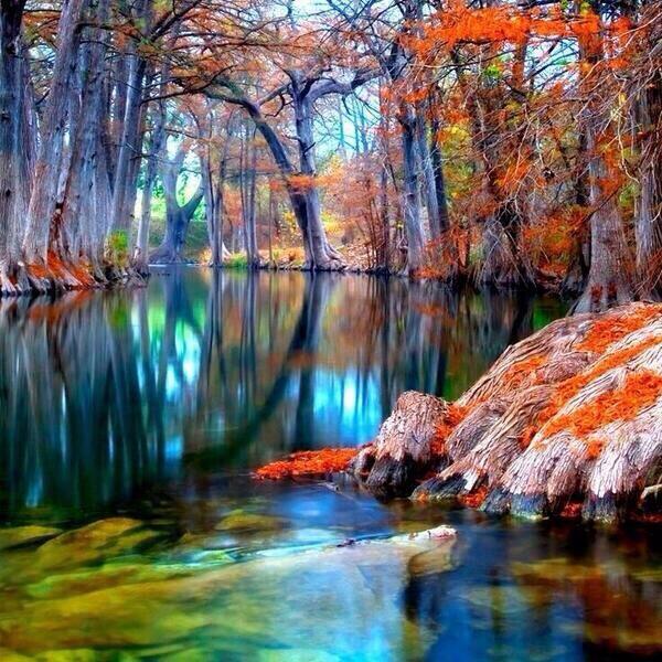 Science_Pics's tweet image. Guadalupe River in Texas