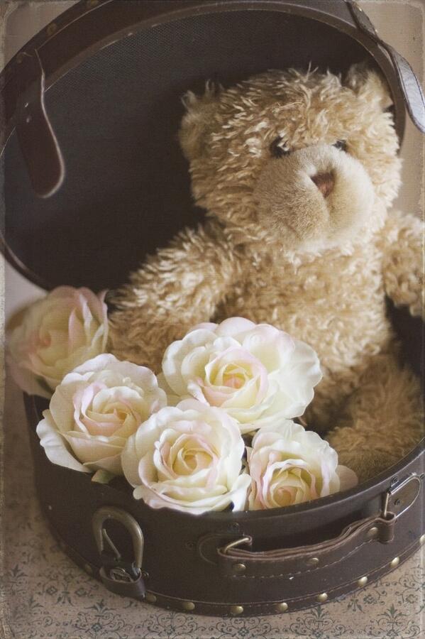 FemaleHerc's tweet photo. *Sends @PeacockQueenHJ a box with a teddy bear and roses and a note, "Happy Valentines Day mom." http://t.co/ztmZEZTokC