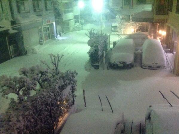 ベルシー tweet media