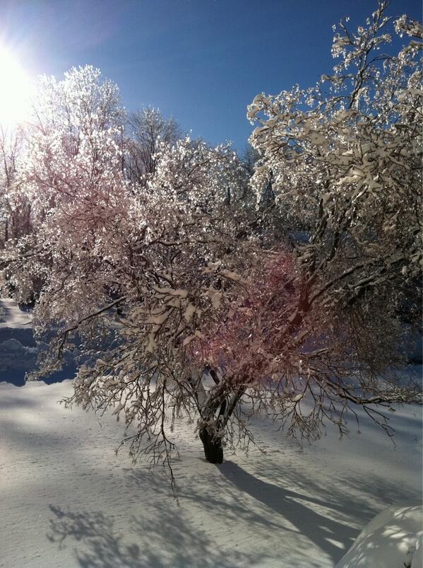 SUsefof's tweet image. Our view from the front door