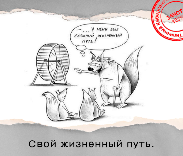 Подпишись на юмористические посты от Типичного Киберсанта - vk.com/public63432973