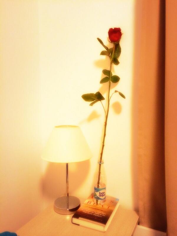 Mikkelson12's tweet photo. I now have some decor on my nightstand in #Sochi thanks to @scottreid33 Happy V-Day to all from Russia! #longstemrose http://t.co/sLVBIL0iSQ