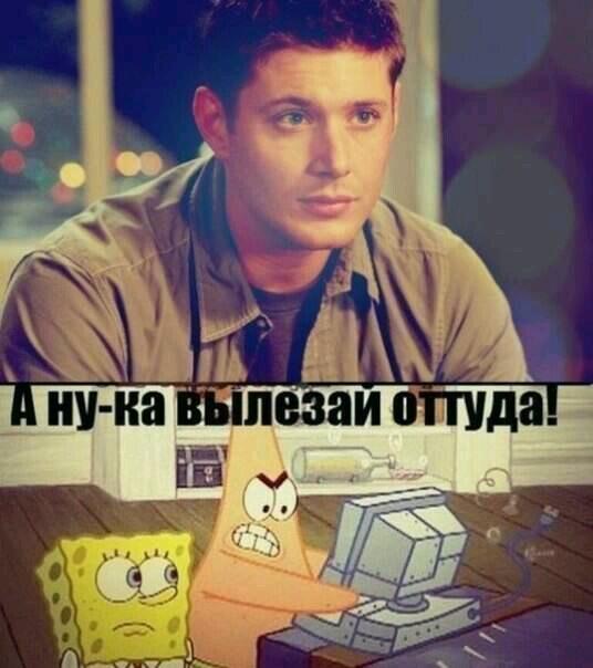 моя голова работает как часы но иногда выскакивает кукушка картинки. оттуда выскочил. оттуда выскочил. мнение на тему терроризма. оттуда бриллиантовая рука мем.