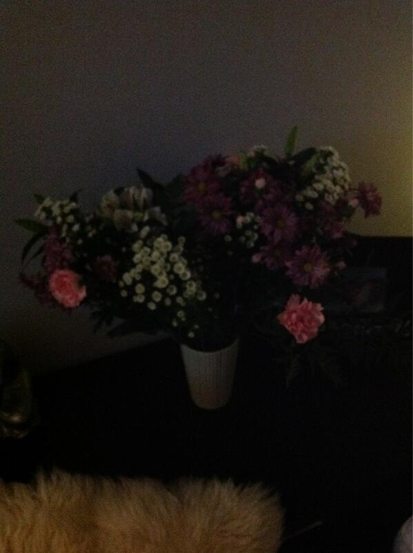 Natmaplesden's tweet photo. Thank u 4 my beautiful "Trees" as Joey calls them @Danwhitworth245 &amp; my little Valentine Joey XXX #luckygirl xxx http://t.co/FFopQwE3iK