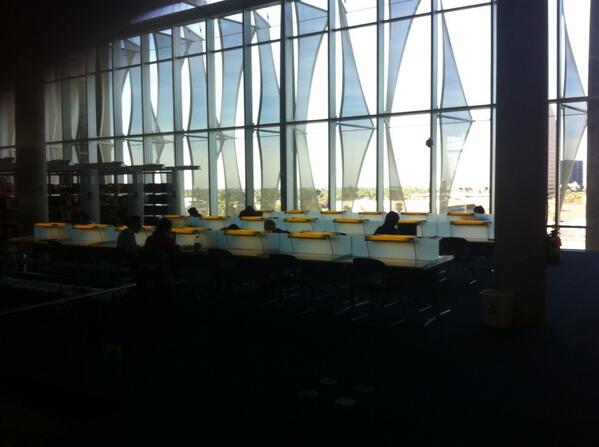 thefriends's tweet image. Whaddaview at the Phoenix Public Library! #librarysafari