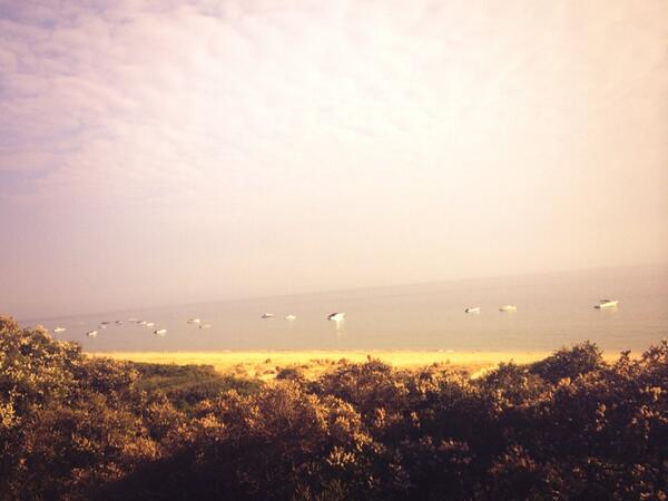 KMusster's tweet image. Not a bad start to the morning - solid run by the beach #nohangover #freah