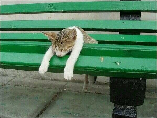 <a href="/InsideOneMag/">Inside One Magazine</a>  Great team effort first edition Out Now!  Thought this depicts how you must feel! Congratulations...