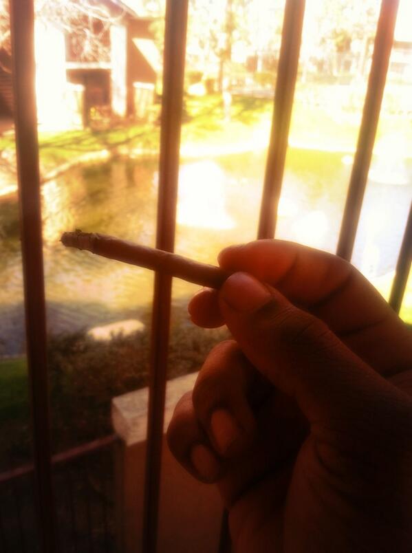 YungCj300's tweet image. #SoloFlow