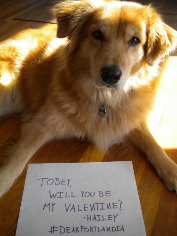 HaileyThedog1's tweet photo. #DearPortlandia @Carrie_Rachel http://t.co/xAGz86jKH9